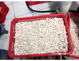 CỒI SÒ MAI