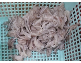 ĐẦU MỰC ỐNG LÀM SẠCH SIZE NHỎ