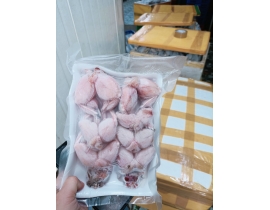 ĐÙI ẾCH LỚN