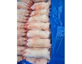 MÓNG HEO SAU  ( DỰNG SAU ) CẮT NGẮN