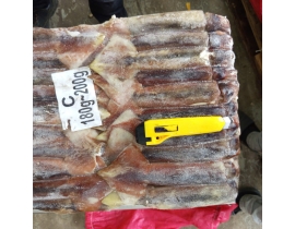 MỰC ILEX 180G - 200G