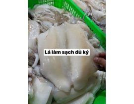 Mực lá làm sạch chẻ bụng
