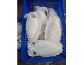 MỰC NANG LÀM SẠCH SIZE 1000 - 2000G NET 7