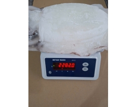 MỰC NANG LÀM SẠCH  2000UP N7