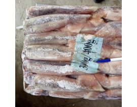 MỰC ỐNG INDO (ILEX) 300g-400g
