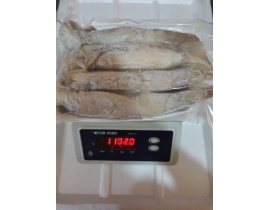 MỰC ỐNG INDO(ILEX) SIZE 200-300G RA VỈ 1 KG