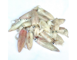 MỰC SỬA - MỰC TÉP