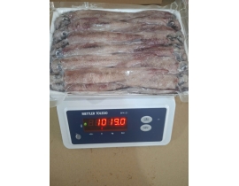 MỰC TRỨNG GHIM 9/12 VỈ 1KG ĐỦ KG