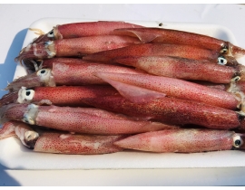 MỰC TRỨNG 9/12A  VỈ 500G