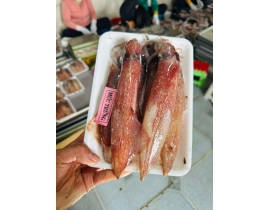 MỰC TRỨNG NHÁY SIZE 6-8 CON NET 8