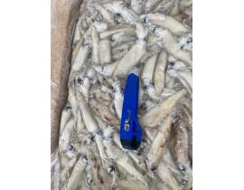 MỰC TRỨNG MỸ 8-15 THÙNG 10KG