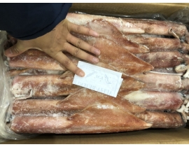 MỰC ỐNG SỐ 2