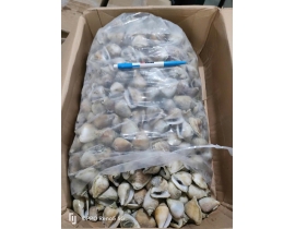 ỐC NHẢY