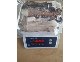 RÂU MỰC TƯƠI ĐẠI DƯƠNG VỈ 1KG N8 (ĐÃ BAO GỒM MẠ BĂNG)