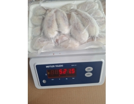 TRỨNG MỰC NANG VỈ 500G ĐỦ KG