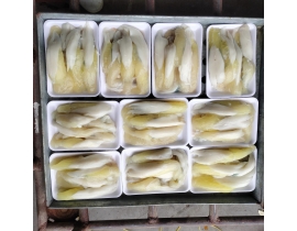 TRỨNG MỰC