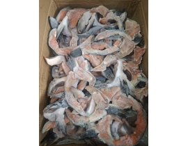 VÂY CỔ CÁ HỒI ( KAMA )